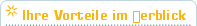 Ihre Vorteile im ܢerblick